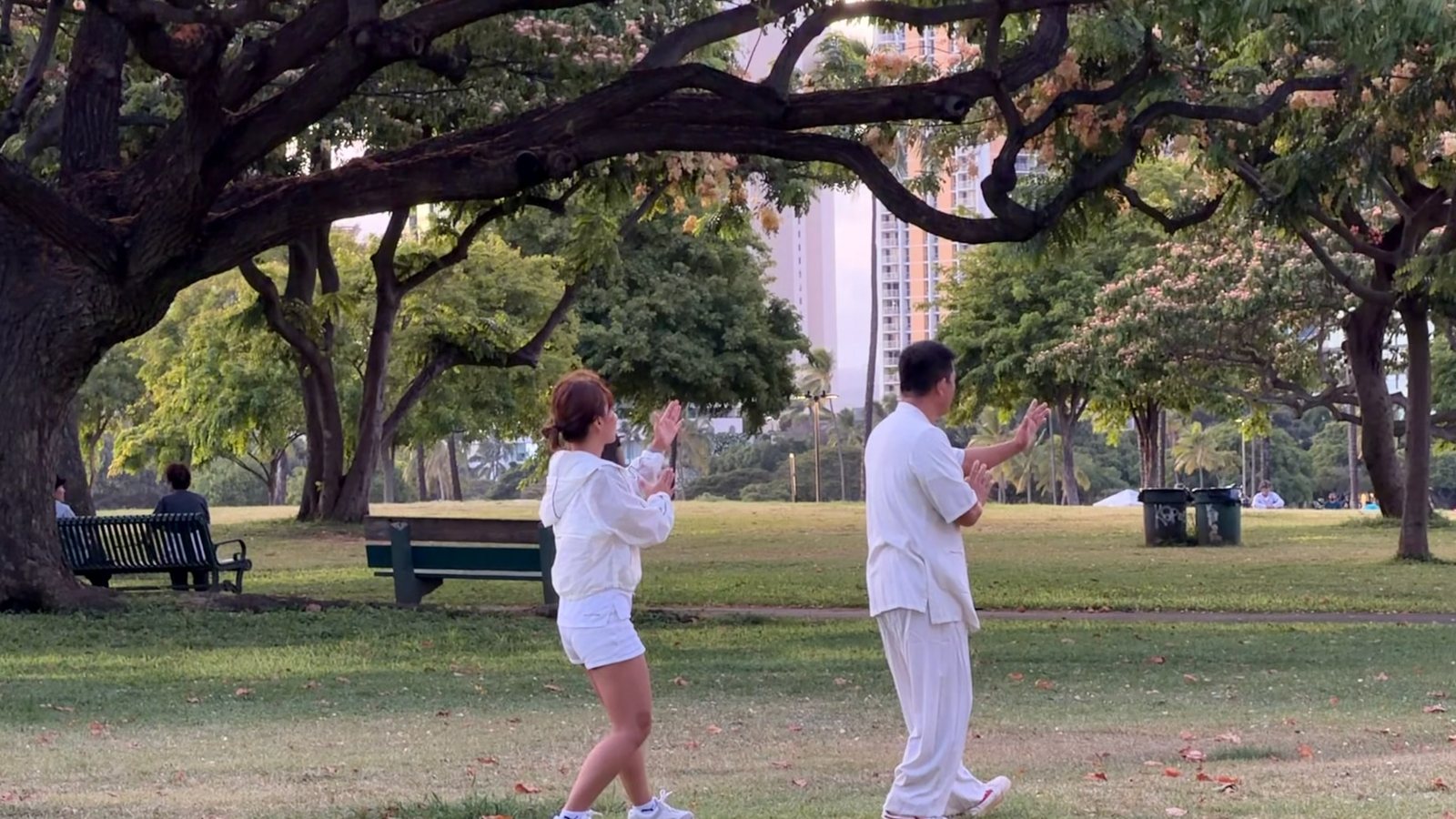 Practicing Tai Chi under the trees at Magic Island
