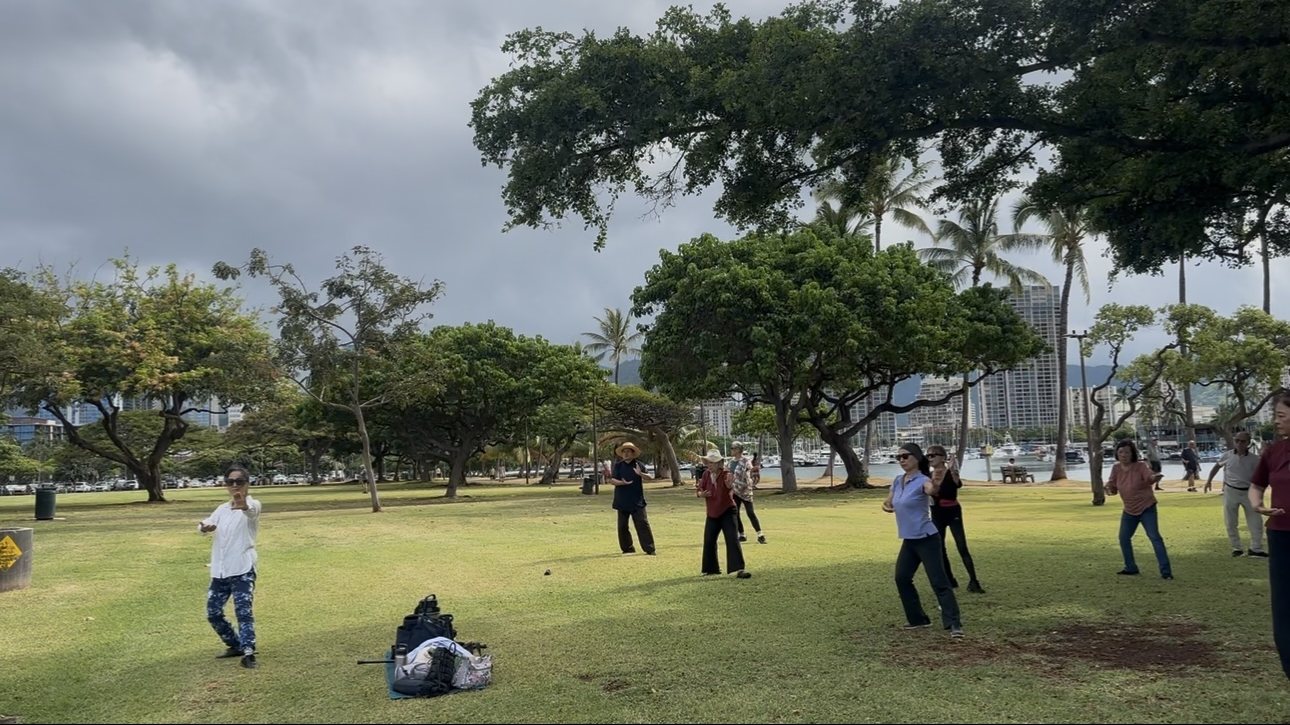 Group Tai Chi practice with sailboats in the marina behind